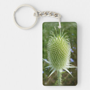 Llavero Cardo bajo el sol de verano