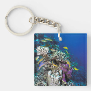 Llavero Cardumen de Salmonetes alrededor de pequeño coral