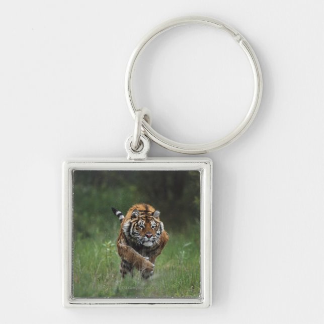Llavero Carga mojada del tigre siberiano (Frente)