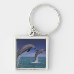 Llavero Caribe, delfines mulares Tursiops