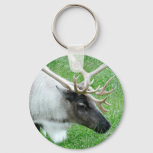 Llavero Caribou