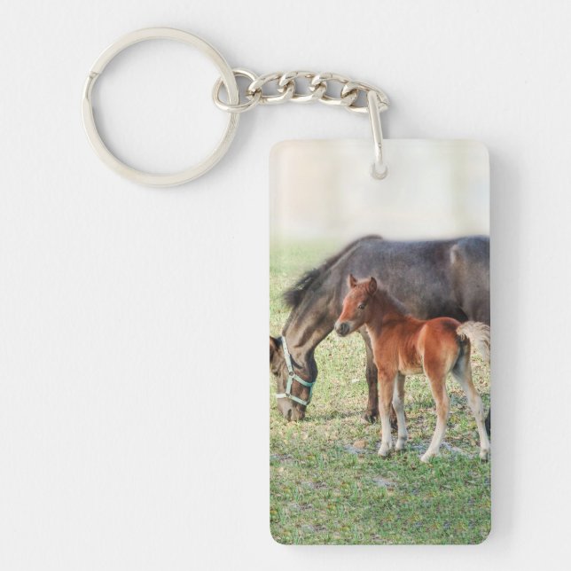 Llavero Carne de caballo en miniatura - Colt personalizado (Frente)