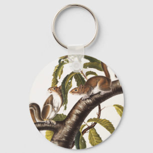 Llavero Carolina Gray Squirrel (Sciurus Carolinensis)