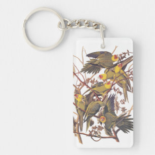 Llavero Carolina Parakeet Acrylic Keychain
