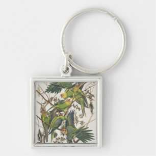 Llavero Carolina Parakeet, de 'Birds of America', 1829