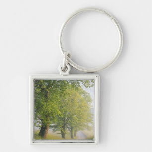 Llavero Carretera cubierta de niebla, Cades Cove, Grande S