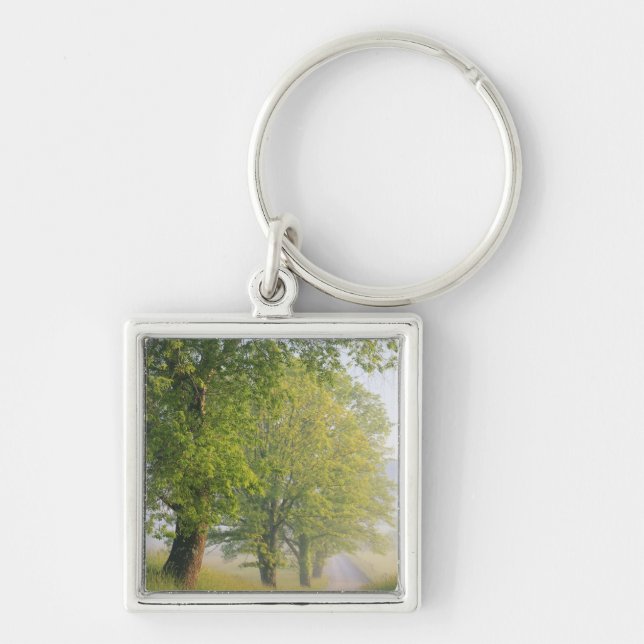 Llavero Carretera cubierta de niebla, Cades Cove, Grande S (Frente)