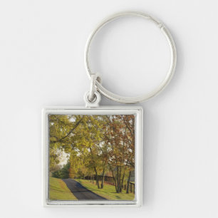 Llavero Carretera rural a través de la región de Bluegra
