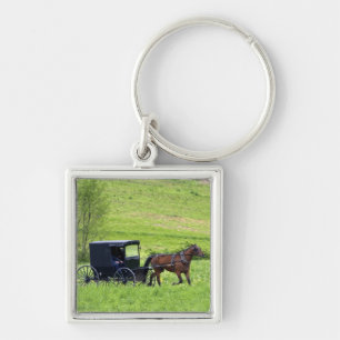 Llavero Carro y caballo Amish cerca de Berlín, Ohio.