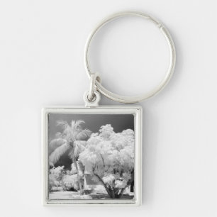 Llavero Casa Florida Keys y sus palmeras, Estados Unidos.2