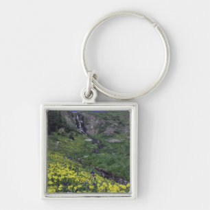 Llavero Cascada y flores silvestres en prado alpino,
