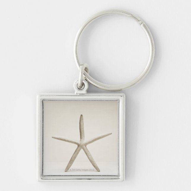 Llavero Cáscara de los pescados de la estrella (Frente)