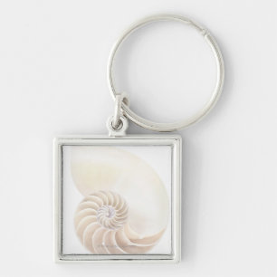 Llavero Cáscara del nautilus, primer