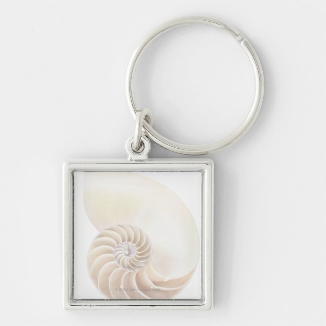 Llavero Cáscara del nautilus, primer (Frente)