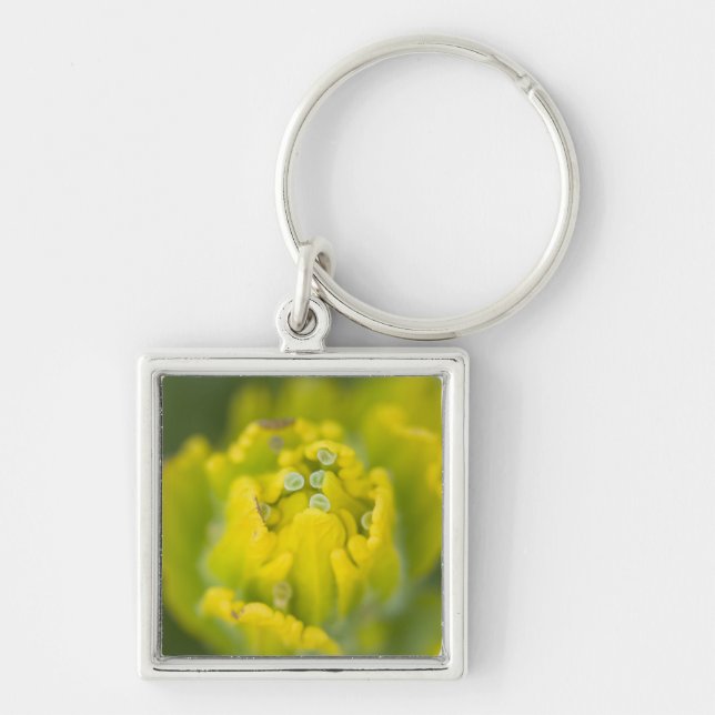 Llavero Castilleja 2 (Frente)