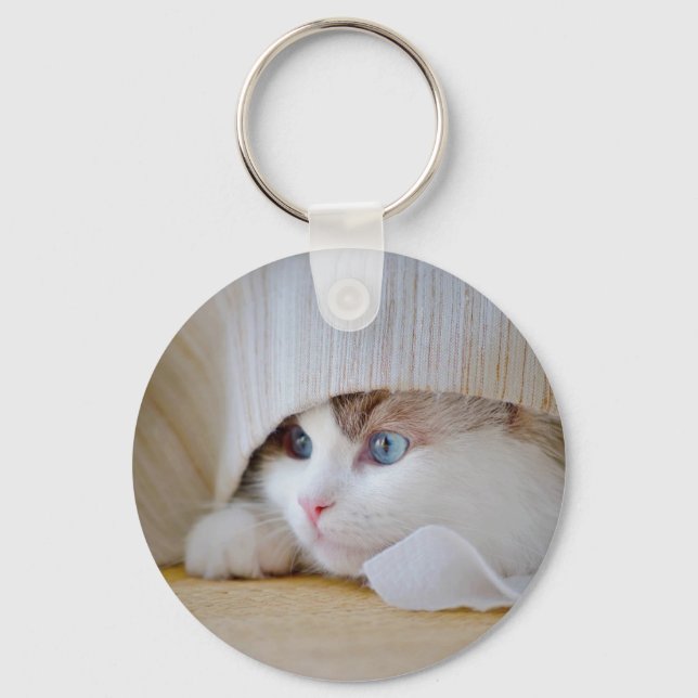 Llavero Cat, Nature, Kitten (Anverso)