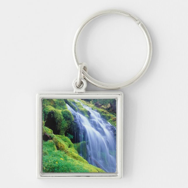 Llavero Cataratas proxy en las cascadas centrales de Oregó (Frente)