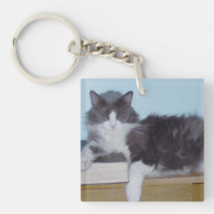 Llavero Cats de vaca 9 Keychain acrílico cuadrado