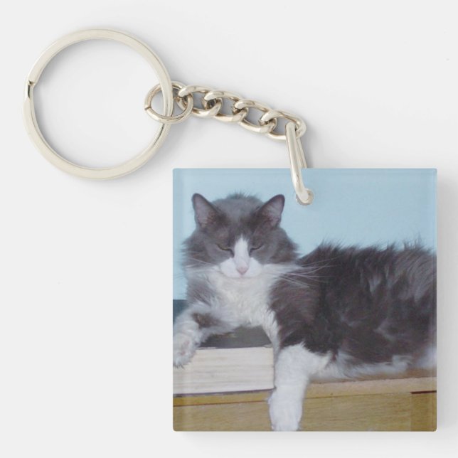 Llavero Cats de vaca 9 Keychain acrílico cuadrado (Frente)
