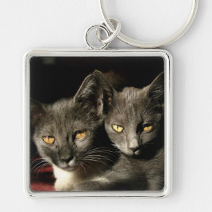 Llavero Cats Photo Key Ring