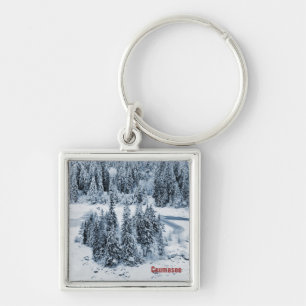 Llavero Caumasee