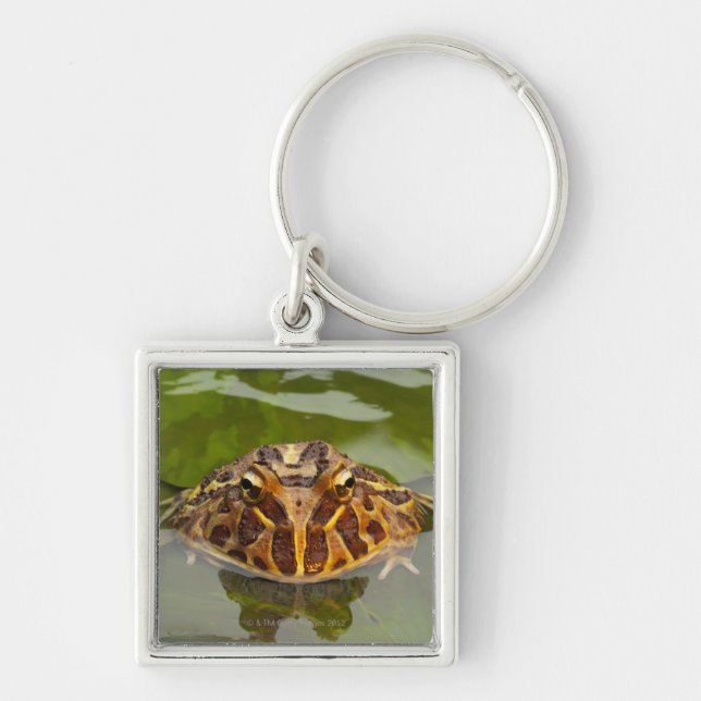 Llavero Cautivo, Nebraska, los E.E.U.U. (Frente)