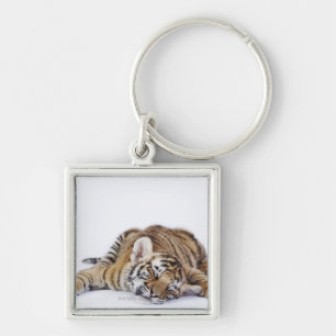 Llavero Cautivo, Suráfrica 3