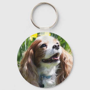 Llavero Cavalier King Charles Spaniel Blenheim sonriente
