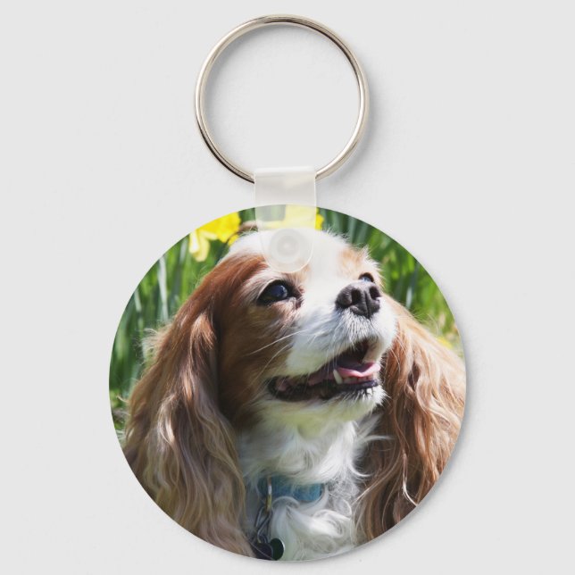 Llavero Cavalier King Charles Spaniel Blenheim sonriente (Anverso)