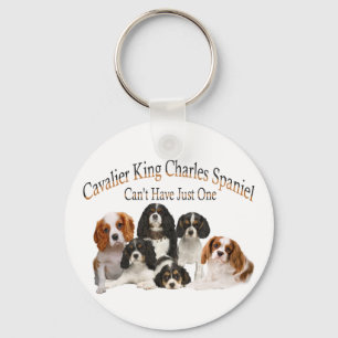 Llavero Cavalier King Charles Spaniel no puede tener uno s