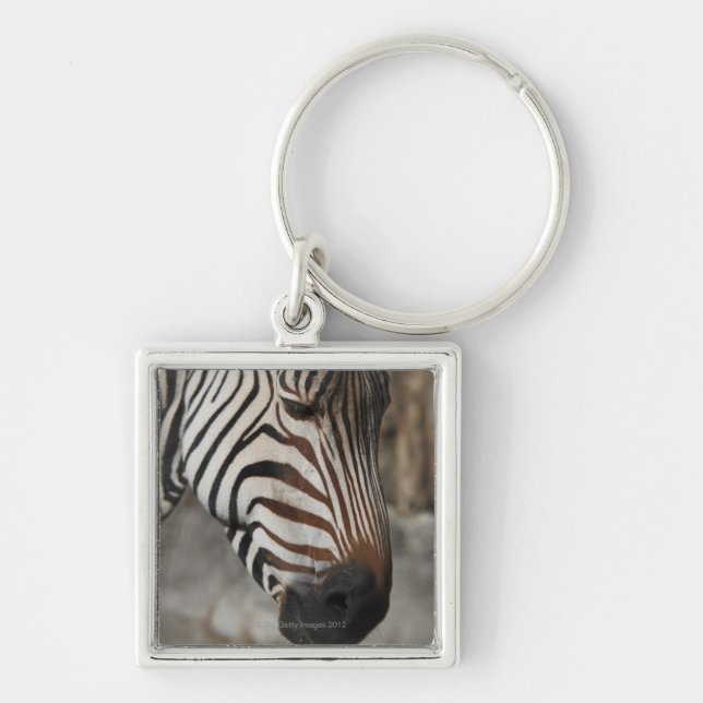 Llavero Cebra, primer (Frente)