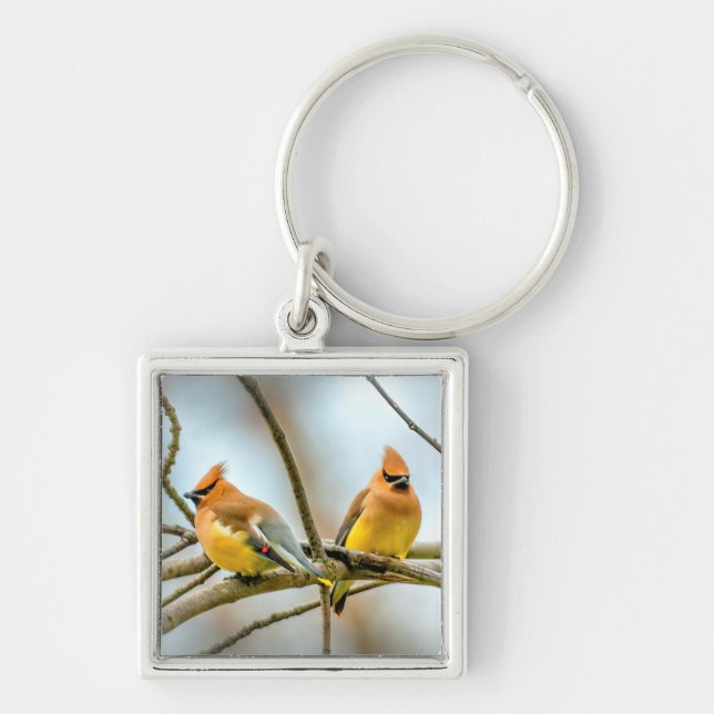 Llavero Cedar Waxwing - Fotografía original (Frente)