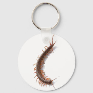 Llavero Centipede