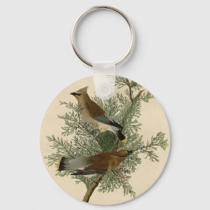 Llavero Cera Amarilla de Audubon