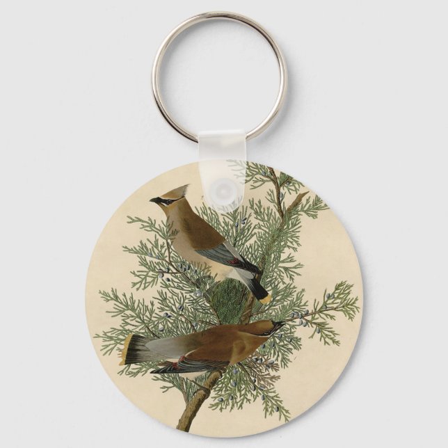 Llavero Cera Amarilla de Audubon (Anverso)