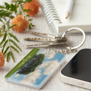 Llavero Cerca de los árboles Cornish conducir el punto de