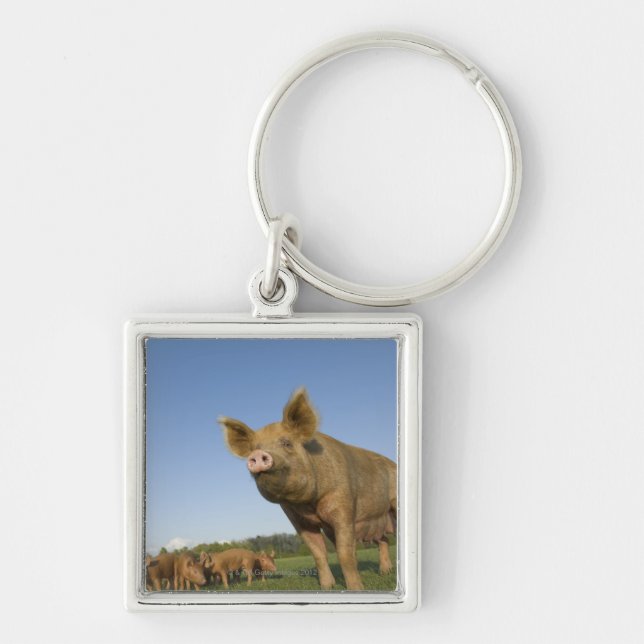 Llavero Cerdo en un campo (Frente)