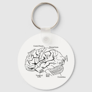 Llavero Cerebro humano
