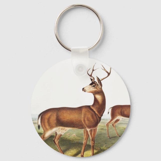 Llavero Cervus Richardsonii (Cervus Richardsonii) (Anverso)