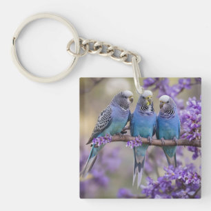 Llavero Chatter De Árbol Superior: Budgies Azules En El Ár