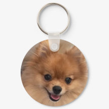 CHAVEIRO DE CÃOZINHO