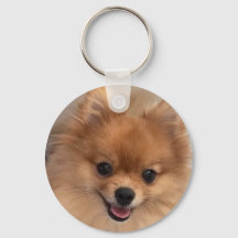 CHAVEIRO DE CÃOZINHO