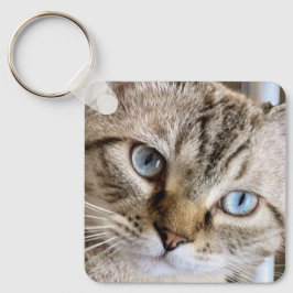 LLAVERO CHAVEIRO GATO