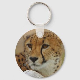 Llavero Cheetah