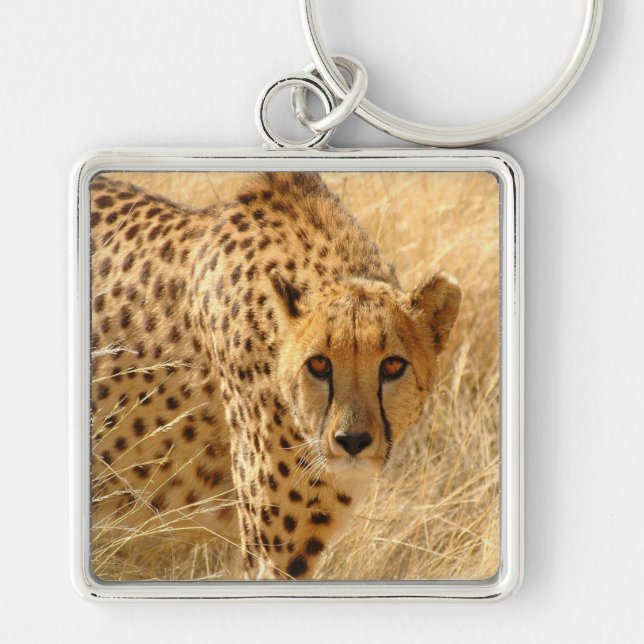 Llavero Cheetah (Frente)