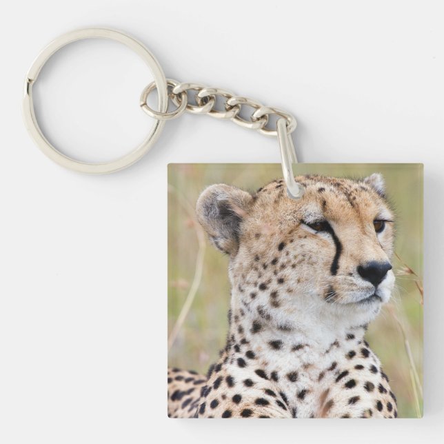 Llavero Cheetah (Frente)