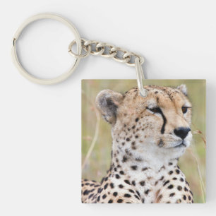 Llavero Cheetah