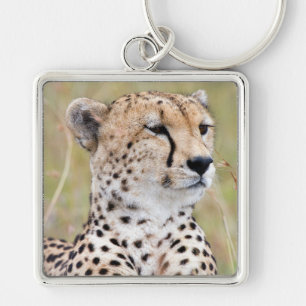 Llavero Cheetah