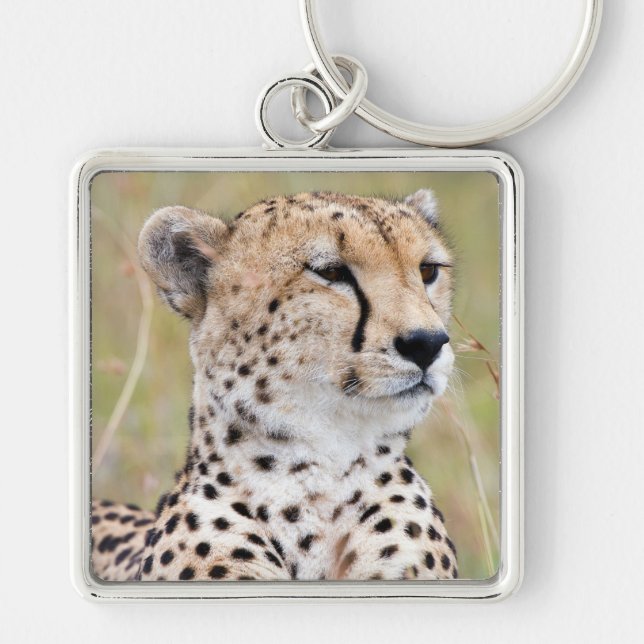 Llavero Cheetah (Frente)