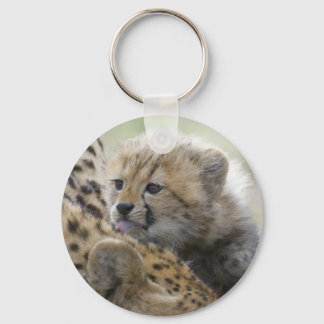 Llavero Cheetah Cub con mamá